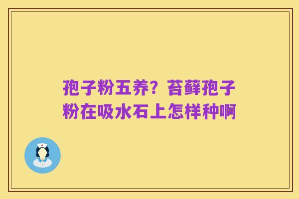 孢子粉五养?苔藓孢子粉在吸水石上怎样种啊