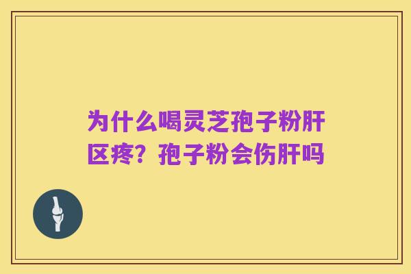 为什么喝灵芝孢子粉肝区疼？孢子粉会伤肝吗