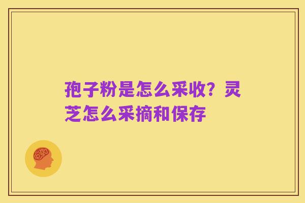 孢子粉是怎么采收?灵芝怎么采摘和保存