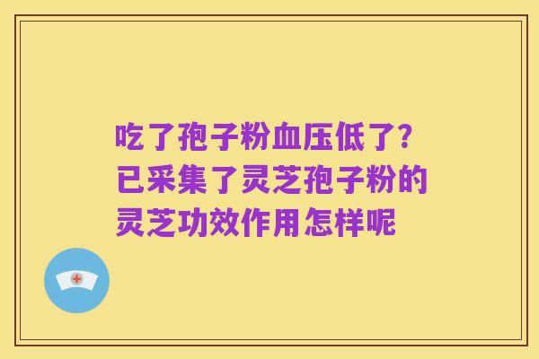 吃了孢子粉血压低了?已采集了灵芝孢子粉的灵芝功效作用怎样呢