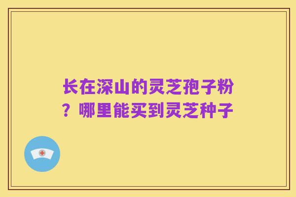 长在深山的灵芝孢子粉?哪里能买到灵芝种子