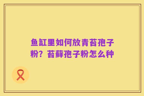 鱼缸里如何放青苔孢子粉?苔藓孢子粉怎么种