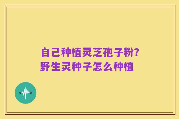 自己种植灵芝孢子粉?野生灵种子怎么种植