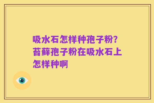 吸水石怎样种孢子粉?苔藓孢子粉在吸水石上怎样种啊
