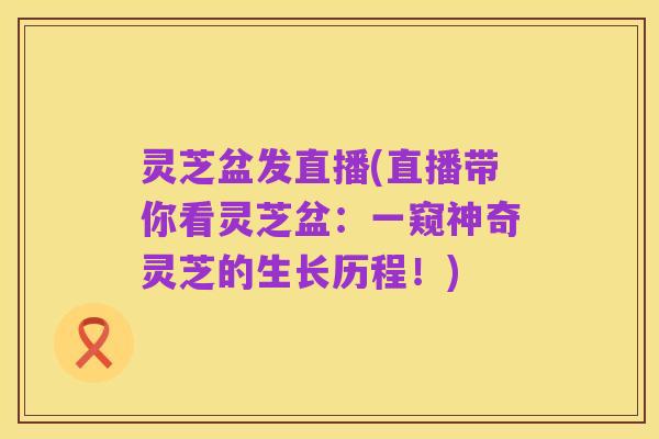 灵芝盆发直播(直播带你看灵芝盆：一窥神奇灵芝的生长历程！)