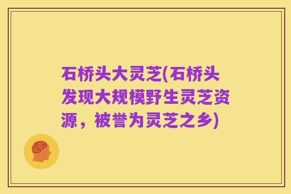 石桥头大灵芝(石桥头发现大规模野生灵芝资源,被誉为灵芝之乡)