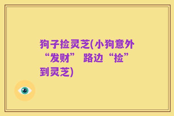 狗子捡灵芝(小狗意外“发财” 路边“捡”到灵芝)