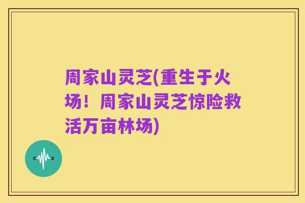 周家山灵芝(重生于火场！周家山灵芝惊险救活万亩林场)