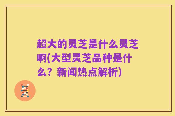 超大的灵芝是什么灵芝啊(大型灵芝品种是什么?新闻热点解析)