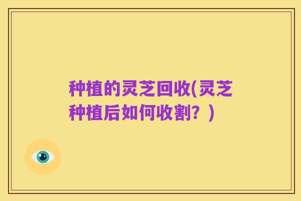 种植的灵芝回收(灵芝种植后如何收割?)
