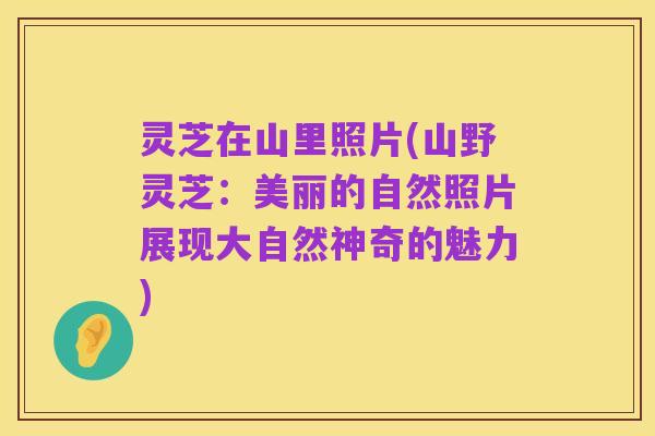 灵芝在山里照片(山野灵芝:美丽的自然照片展现大自然神奇的魅力)