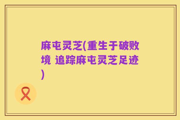 麻屯灵芝(重生于破败境 追踪麻屯灵芝足迹)