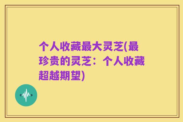 个人收藏最大灵芝(最珍贵的灵芝：个人收藏超越期望)