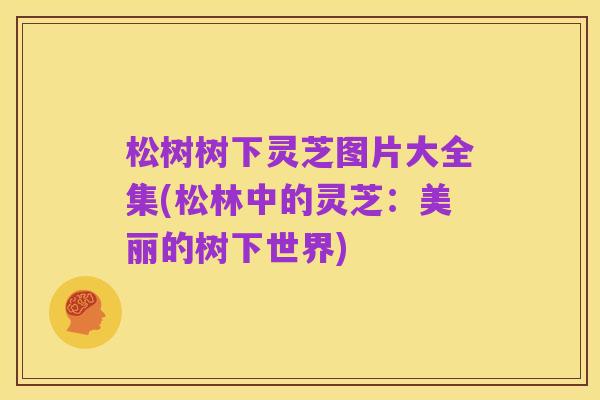 松树树下灵芝图片大全集(松林中的灵芝：美丽的树下世界)