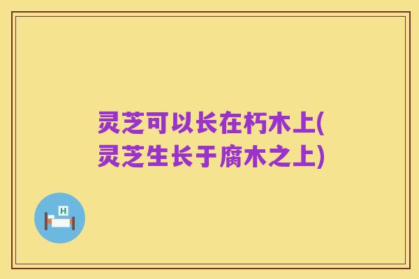 灵芝可以长在朽木上(灵芝生长于腐木之上)