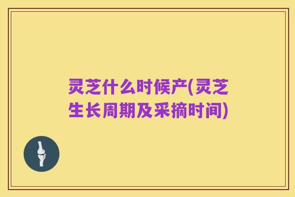 灵芝什么时候产(灵芝生长周期及采摘时间)