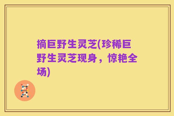 摘巨野生灵芝(珍稀巨野生灵芝现身，惊艳全场)