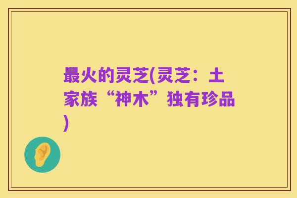 最火的灵芝(灵芝:土家族“神木”独有珍品)