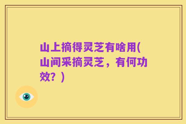 山上摘得灵芝有啥用(山间采摘灵芝,有何功效?)