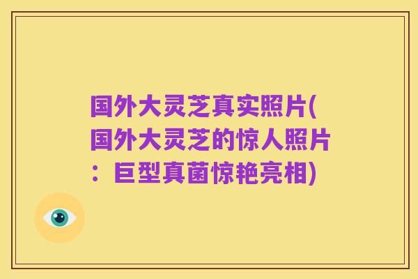 国外大灵芝真实照片(国外大灵芝的惊人照片:巨型真菌惊艳亮相)