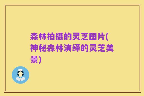 森林拍摄的灵芝图片(神秘森林演绎的灵芝美景)
