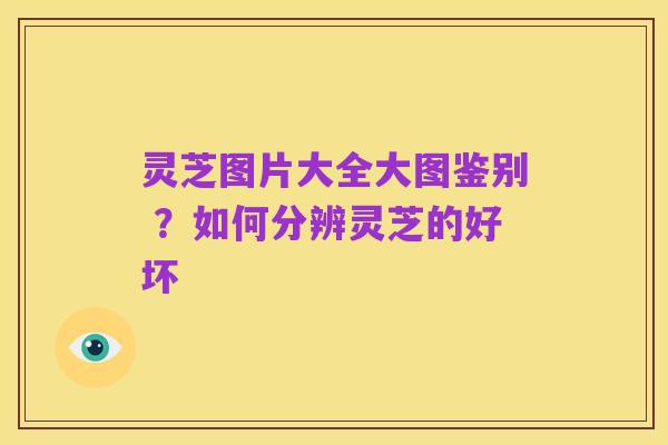 灵芝图片大全大图鉴别 ?如何分辨灵芝的好坏