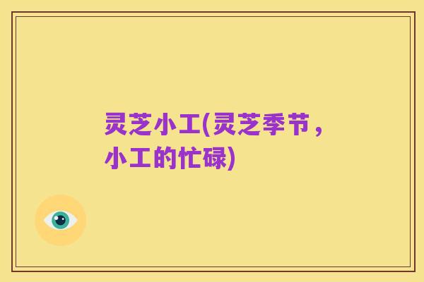 灵芝小工(灵芝季节,小工的忙碌)