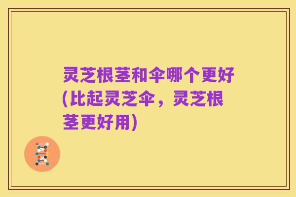 灵芝根茎和伞哪个更好(比起灵芝伞,灵芝根茎更好用)