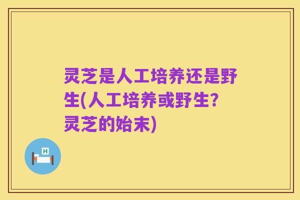 灵芝是人工培养还是野生(人工培养或野生?灵芝的始末)