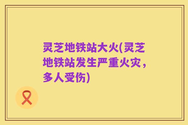 灵芝地铁站大火(灵芝地铁站发生严重火灾，多人受伤)