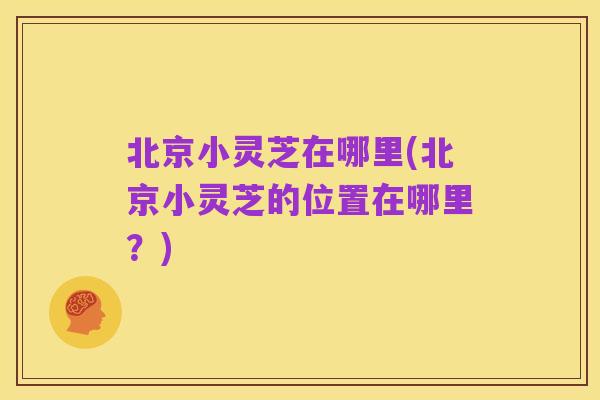 北京小灵芝在哪里(北京小灵芝的位置在哪里?)