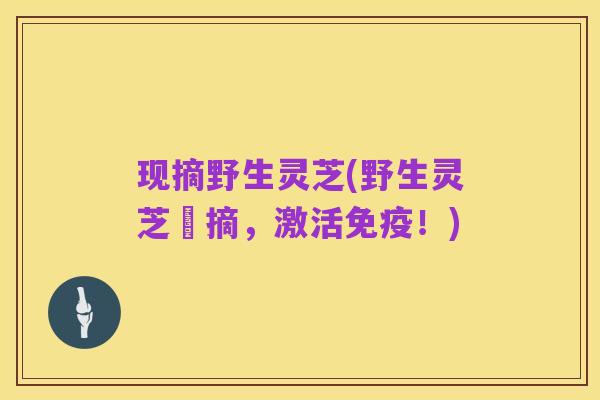 现摘野生灵芝(野生灵芝採摘，激活免疫！)