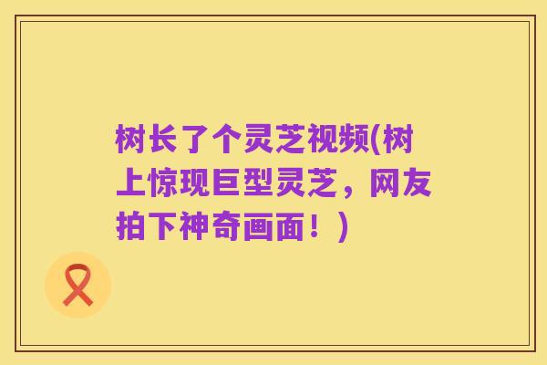 树长了个灵芝视频(树上惊现巨型灵芝,网友拍下神奇画面!)