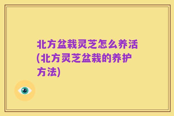 北方盆栽灵芝怎么养活(北方灵芝盆栽的养护方法)