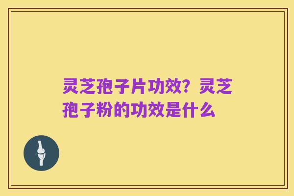 灵芝孢子片功效？灵芝孢子粉的功效是什么
