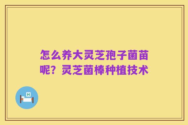 怎么养大灵芝孢子菌苗呢?灵芝菌棒种植技术