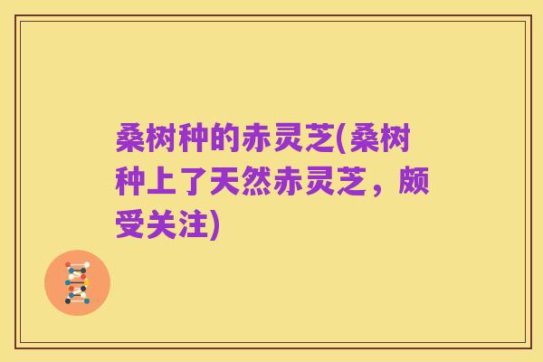 桑树种的赤灵芝(桑树种上了天然赤灵芝，颇受关注)