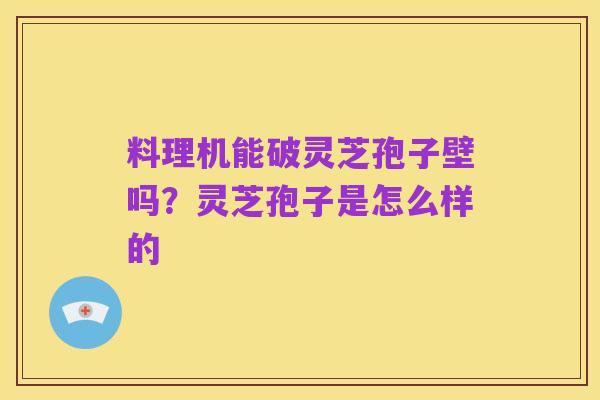 料理机能破灵芝孢子壁吗？灵芝孢子是怎么样的