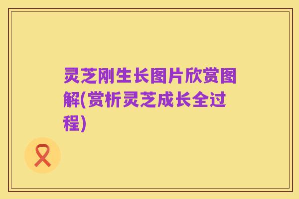 灵芝刚生长图片欣赏图解(赏析灵芝成长全过程)