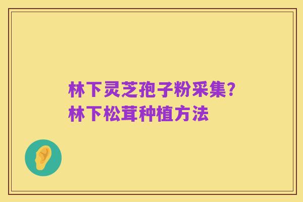 林下灵芝孢子粉采集?林下松茸种植方法