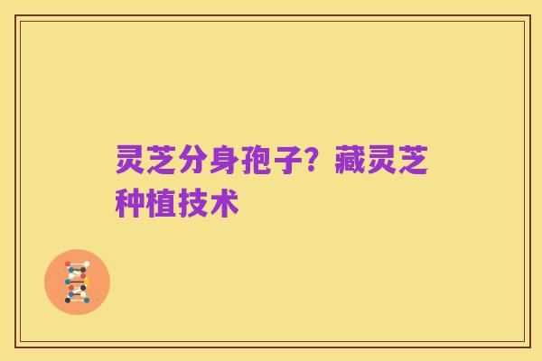 灵芝分身孢子?藏灵芝种植技术