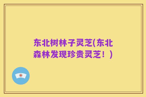 东北树林子灵芝(东北森林发现珍贵灵芝！)