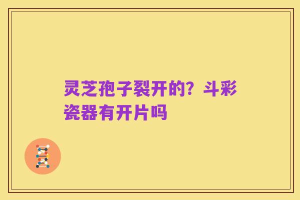 灵芝孢子裂开的?斗彩瓷器有开片吗