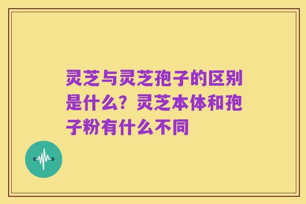 灵芝与灵芝孢子的区别是什么？灵芝本体和孢子粉有什么不同
