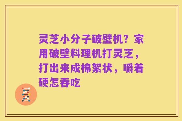 灵芝小分子破壁机?家用破壁料理机打灵芝,打出来成棉絮状,嚼着硬怎吞吃