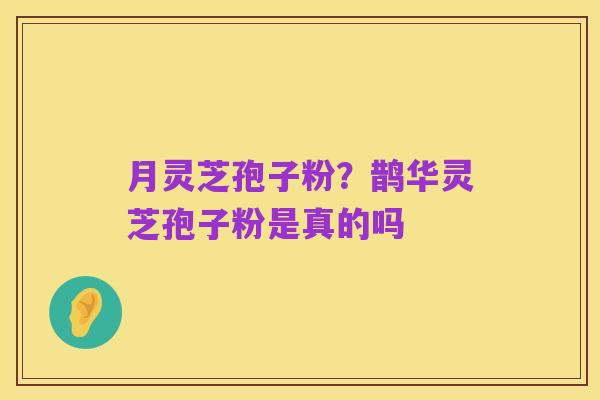 月灵芝孢子粉?鹊华灵芝孢子粉是真的吗