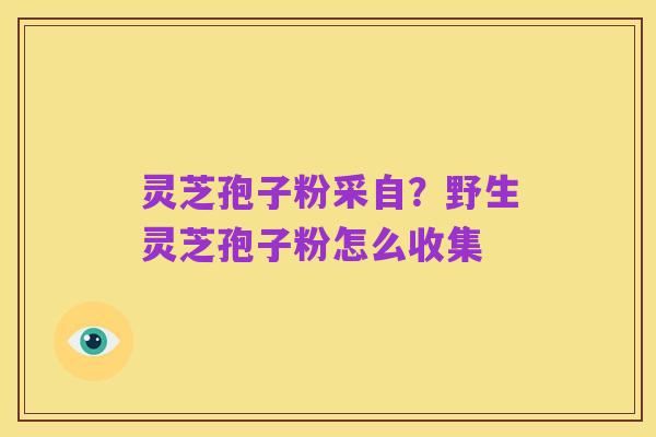 灵芝孢子粉采自?野生灵芝孢子粉怎么收集
