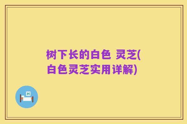 树下长的白色 灵芝(白色灵芝实用详解)
