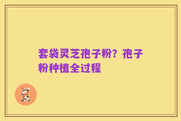 套袋灵芝孢子粉？孢子粉种植全过程