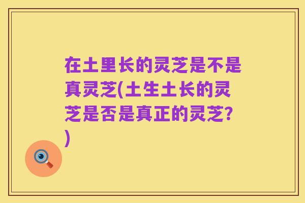 在土里长的灵芝是不是真灵芝(土生土长的灵芝是否是真正的灵芝？)